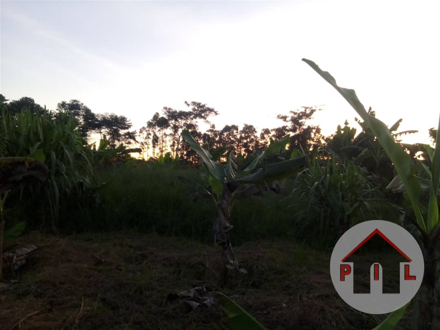 Agricultural Land for sale in Wabitungulu Luweero