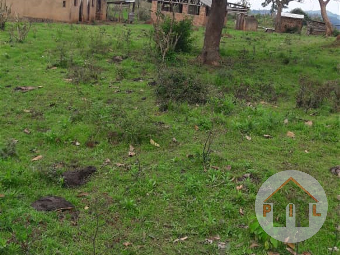 Agricultural Land for sale in Ziloobwe Luweero