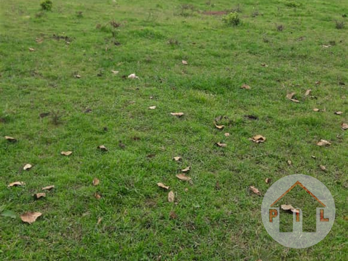 Agricultural Land for sale in Ziloobwe Luweero