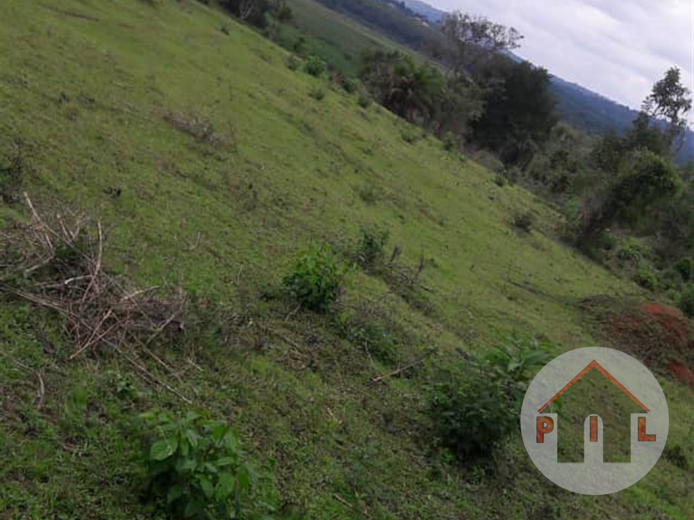 Agricultural Land for sale in Kikyuusa Luweero