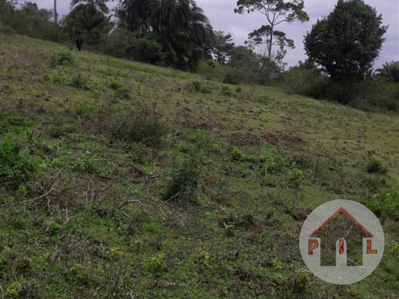 Agricultural Land for sale in Kikyuusa Luweero