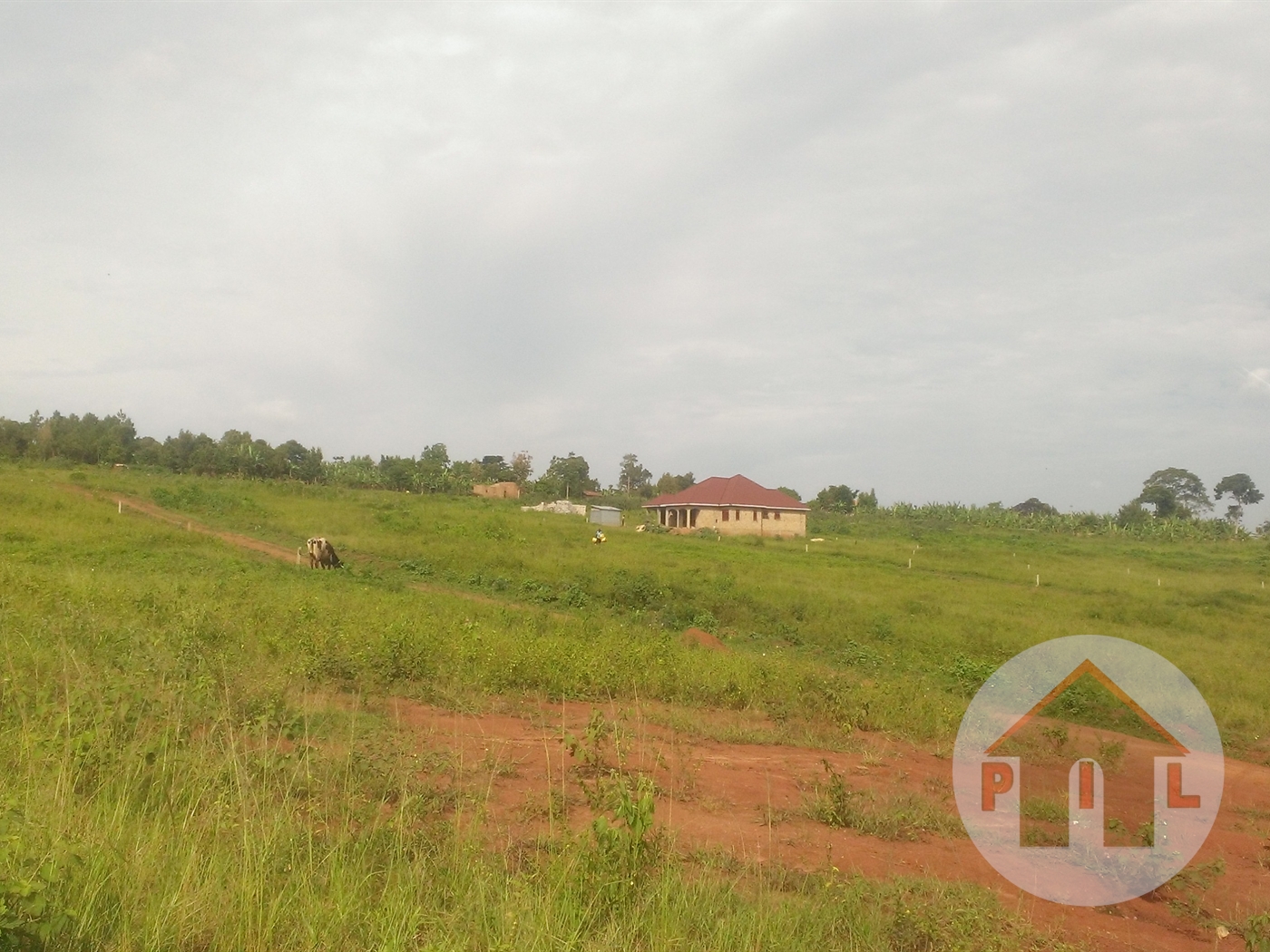 Residential Land for sale in Mabobwe Wakiso