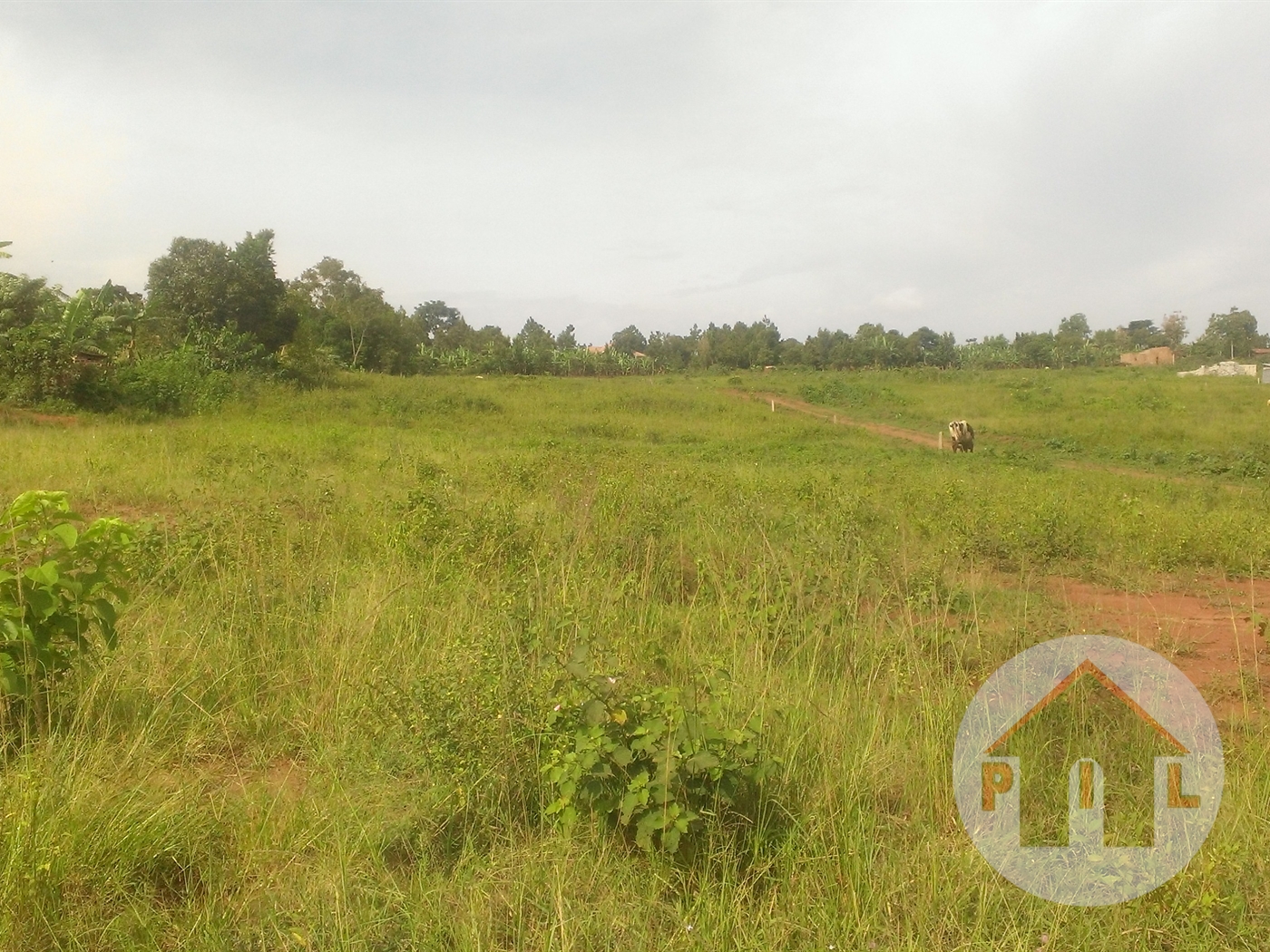 Residential Land for sale in Mabobwe Wakiso