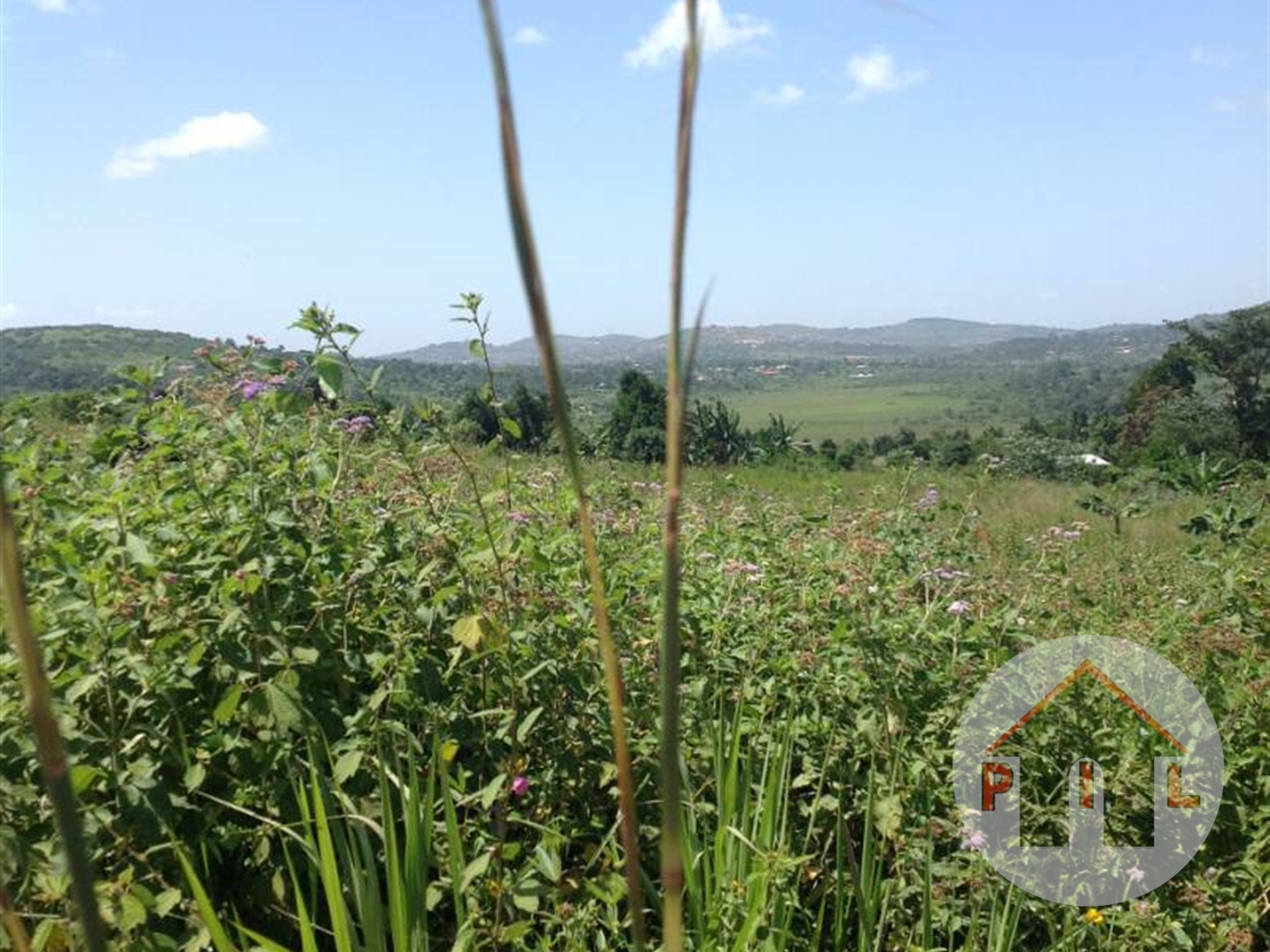 Residential Land for sale in Katalemwa Wakiso