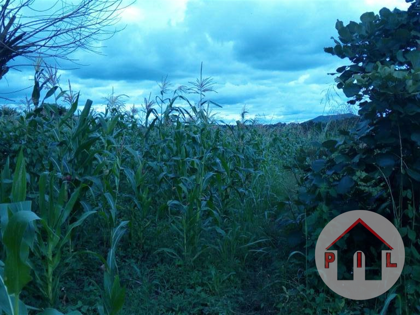 Commercial Land for sale in Garuga Wakiso