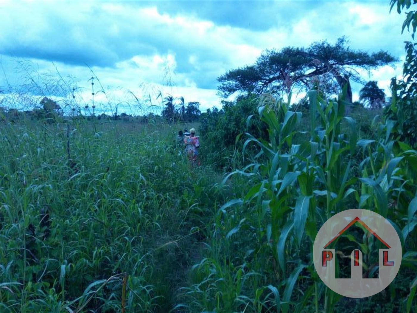 Commercial Land for sale in Garuga Wakiso