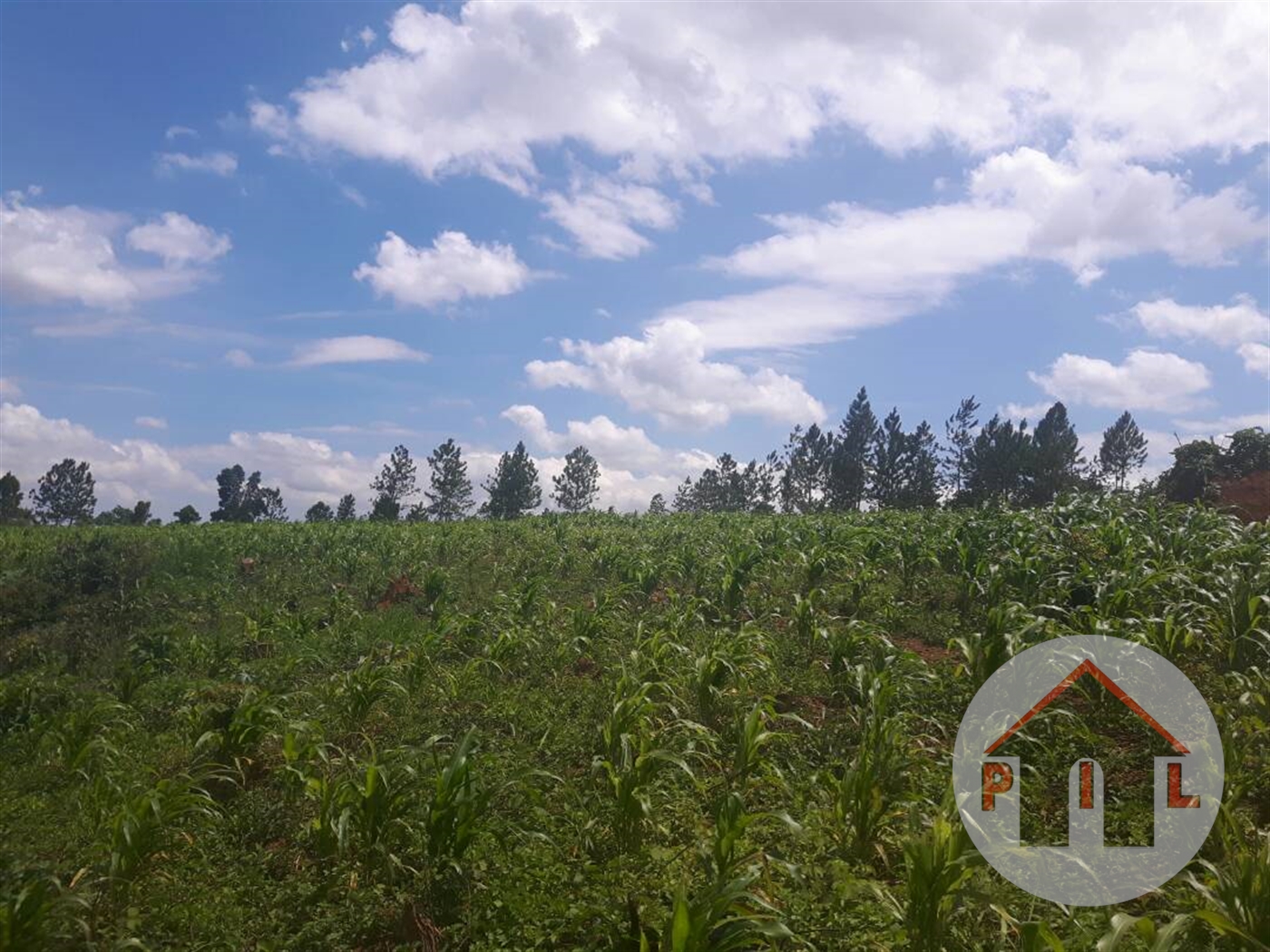 Agricultural Land for sale in Gayaza Wakiso