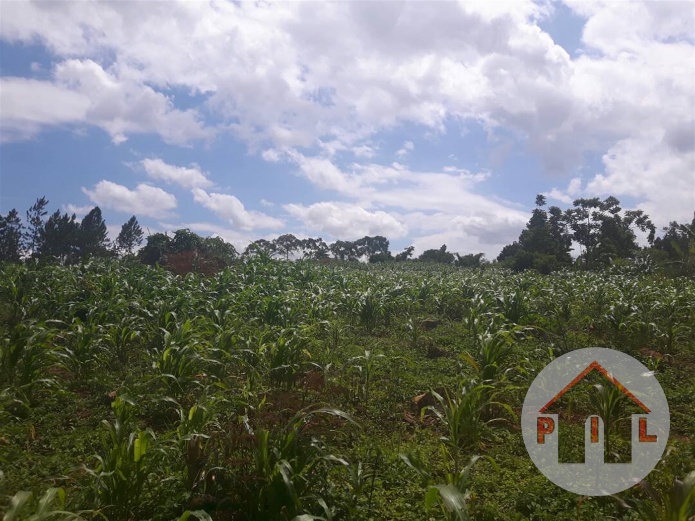 Agricultural Land for sale in Gayaza Wakiso