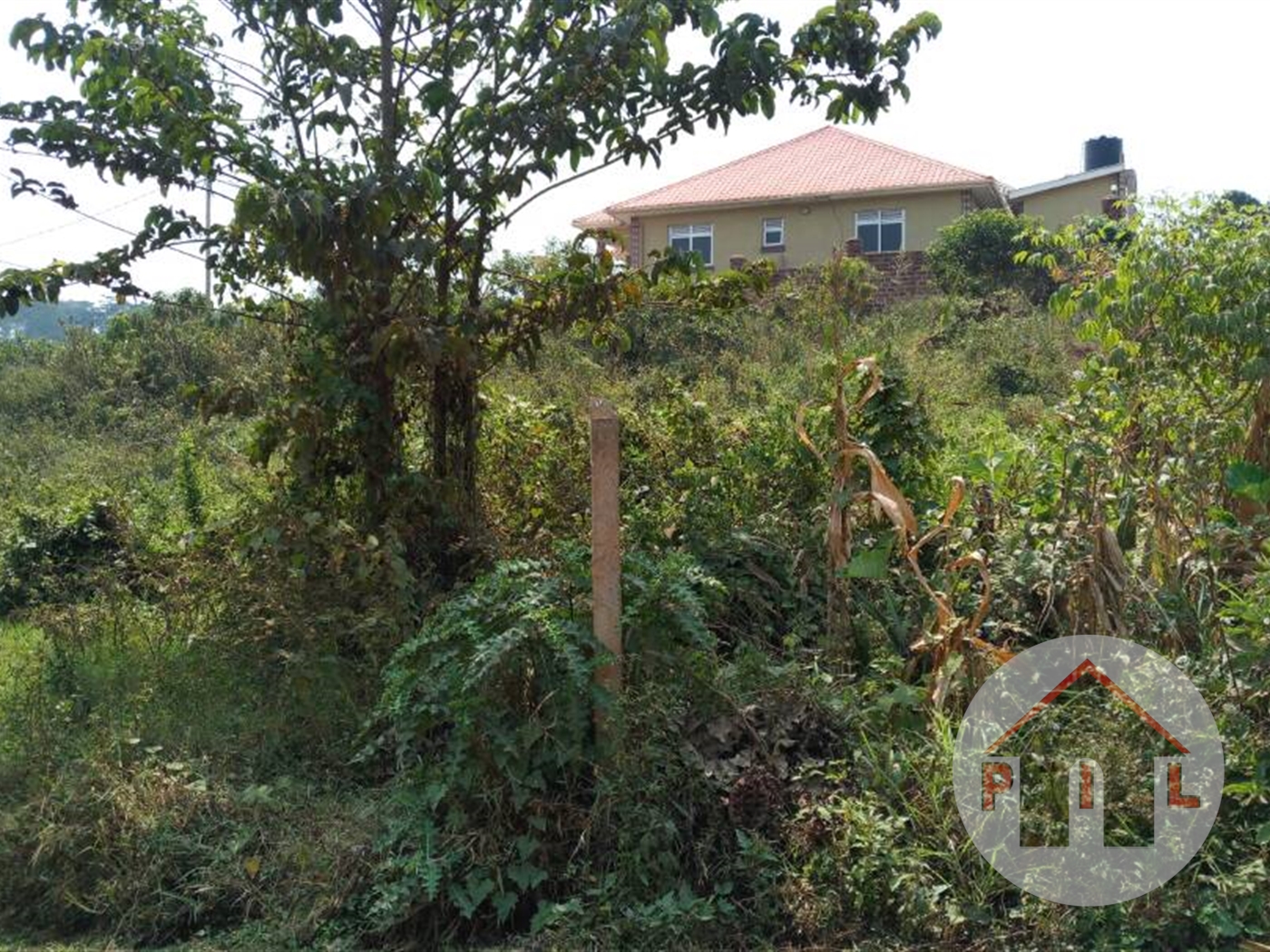 Agricultural Land for sale in Bulindo Wakiso