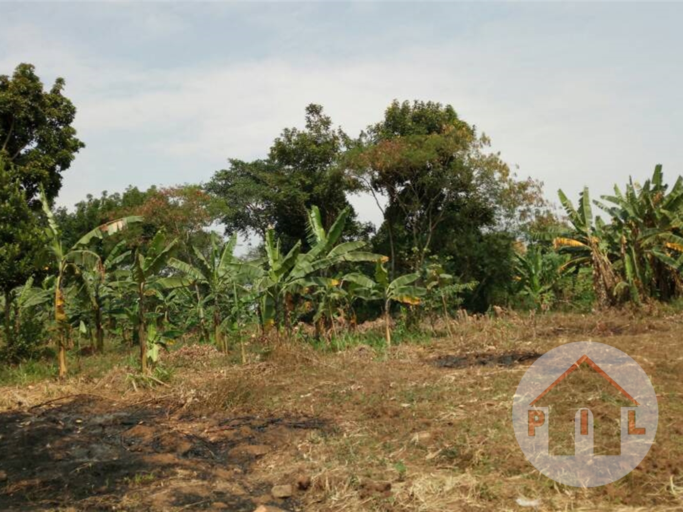 Residential Land for sale in Bulindo Wakiso