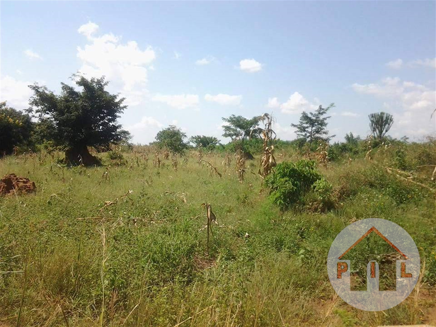 Agricultural Land for sale in Bbaale Kayunga