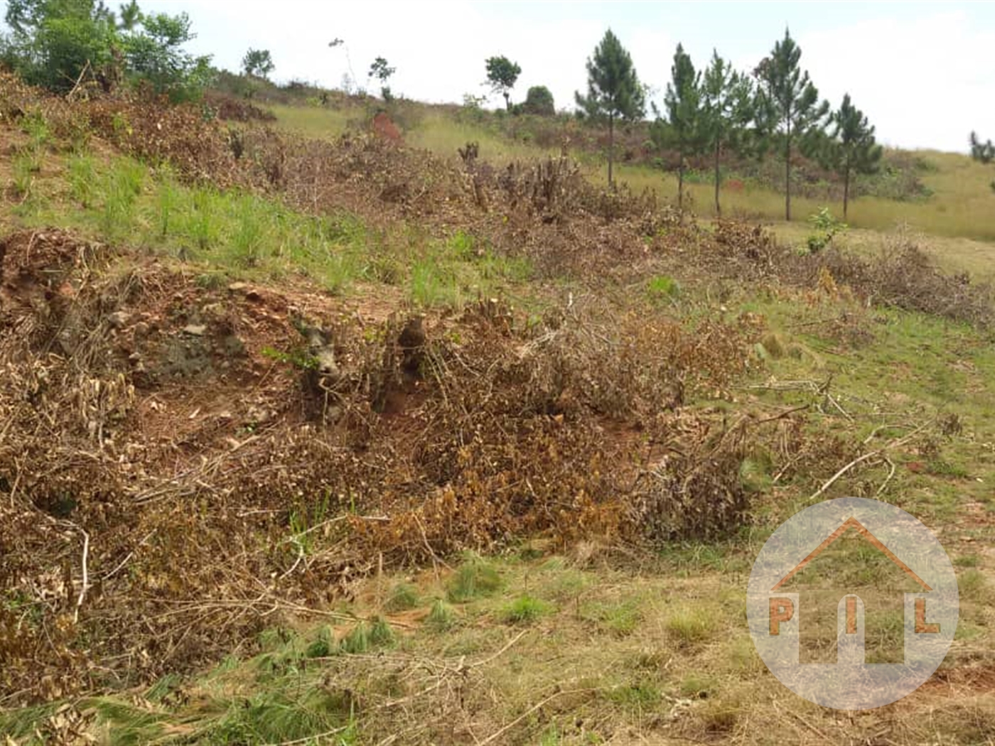 Residential Land for sale in Kira Wakiso