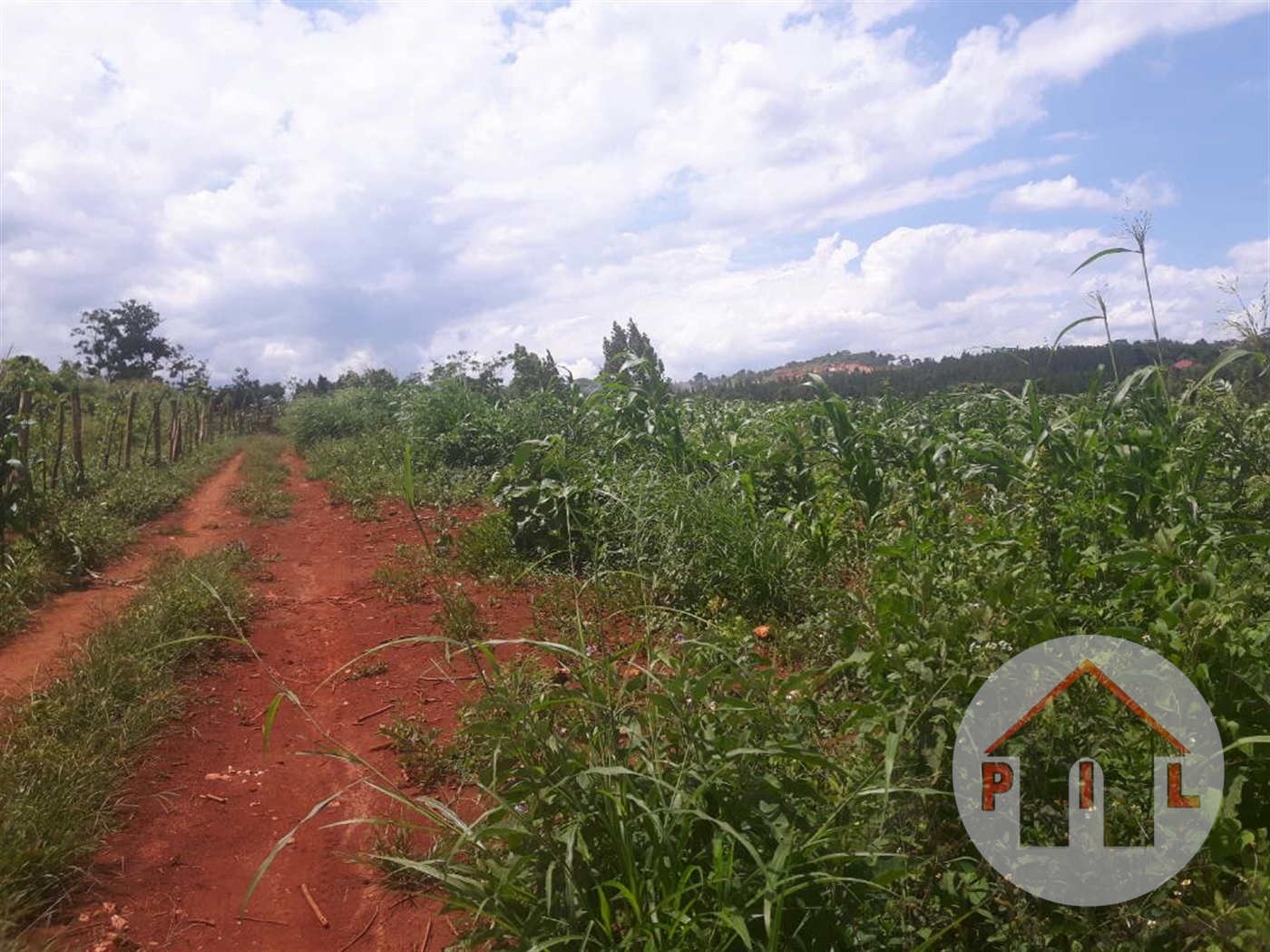 Commercial Land for sale in Nakassajja Wakiso