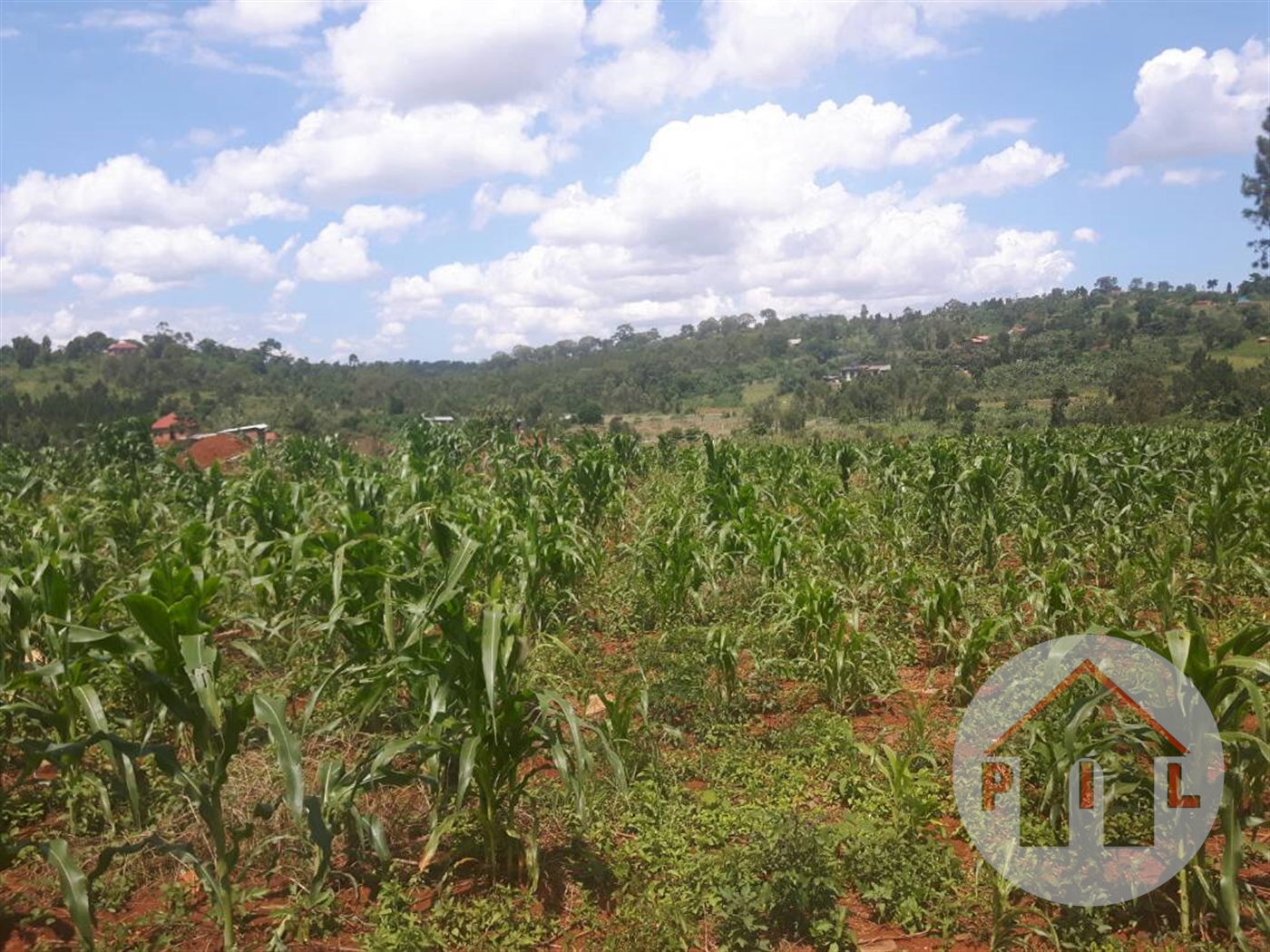 Commercial Land for sale in Nakassajja Wakiso