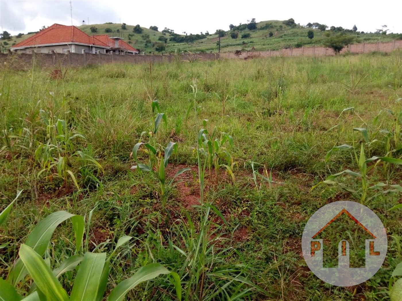 Agricultural Land for sale in Gombe Wakiso
