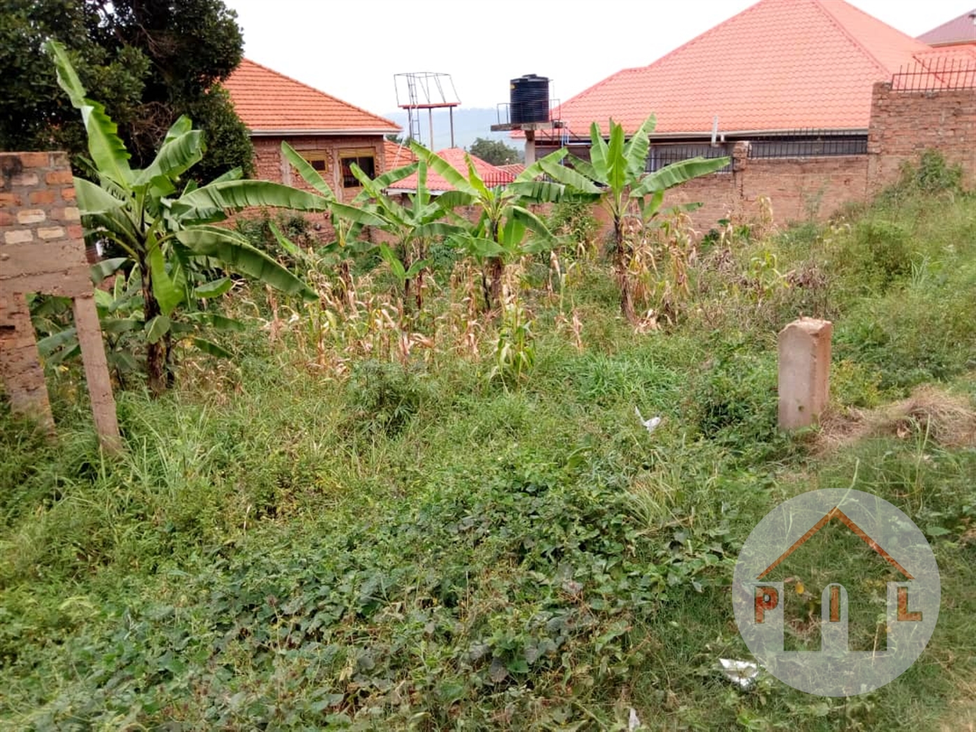 Agricultural Land for sale in Seguku Wakiso