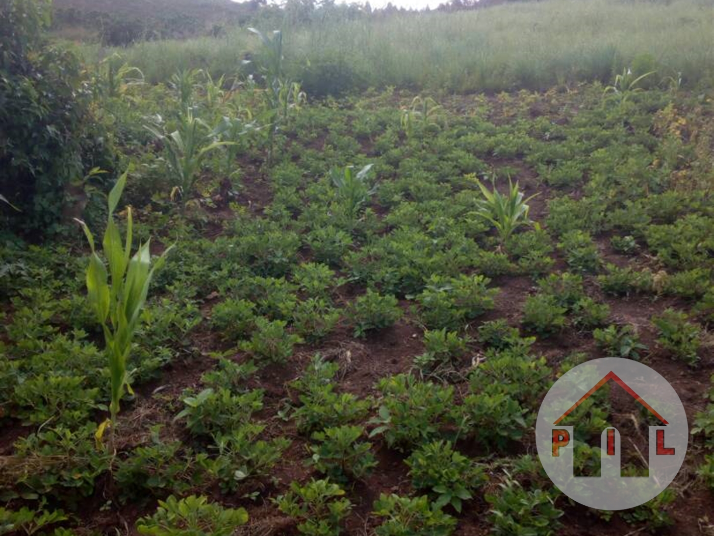 Residential Land for sale in Nakawuka Wakiso