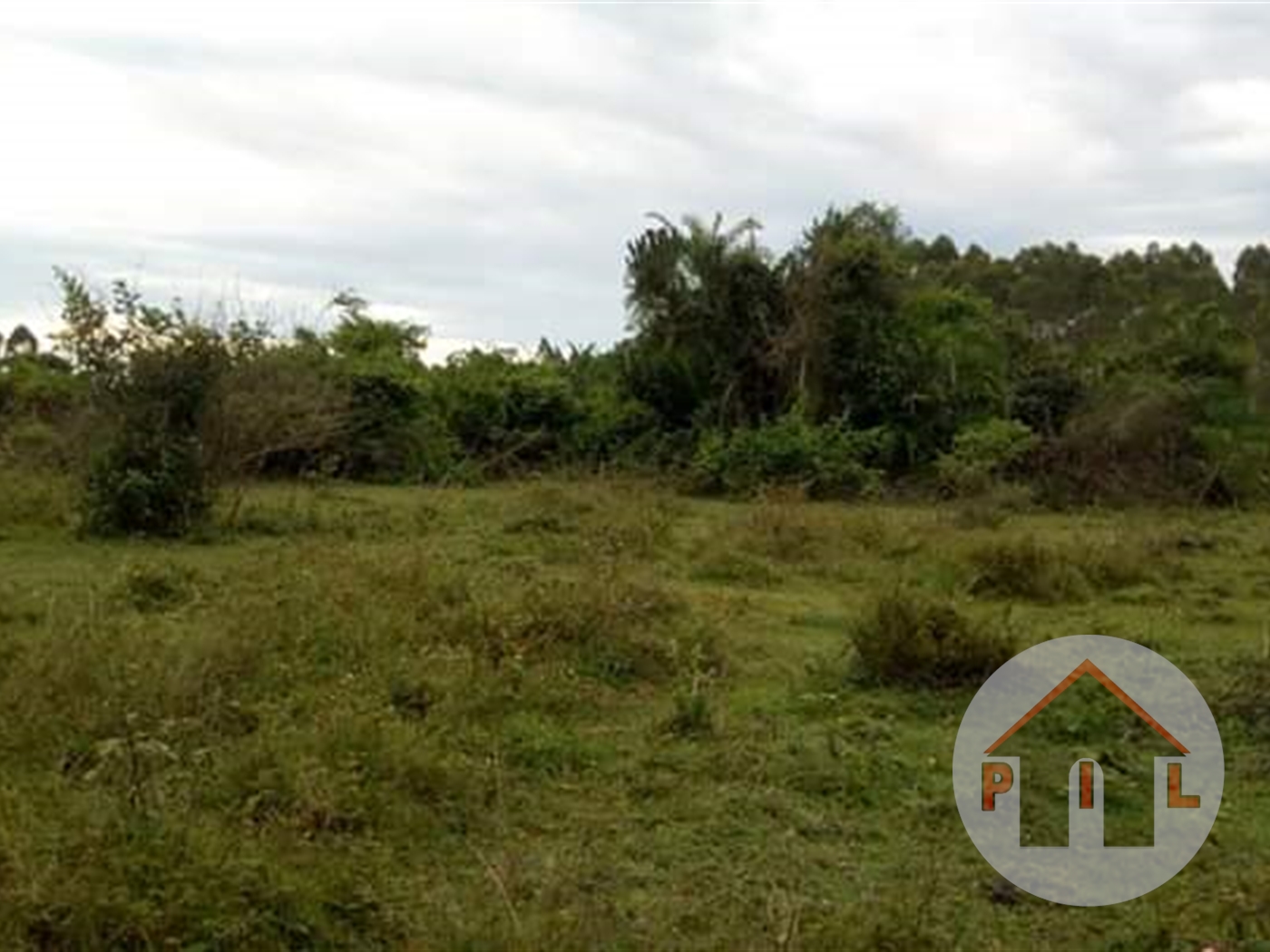 Agricultural Land for sale in Kikyuusa Wakiso
