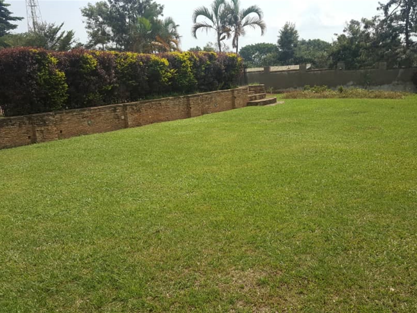 Bungalow for rent in Muyenga Kampala