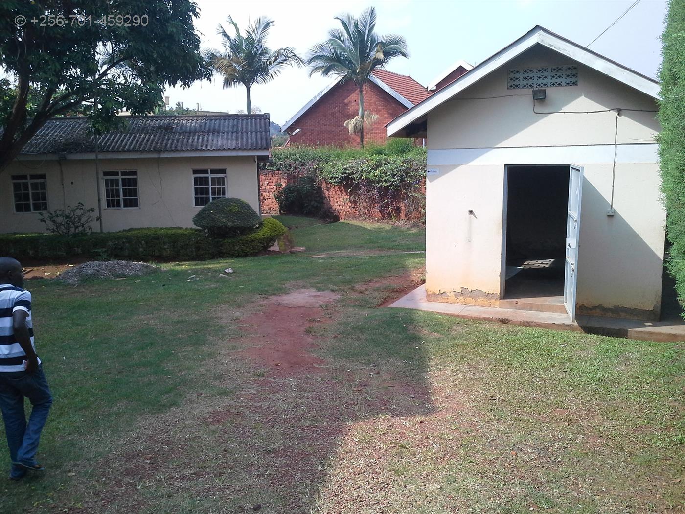 Mansion for rent in Muyenga Kampala