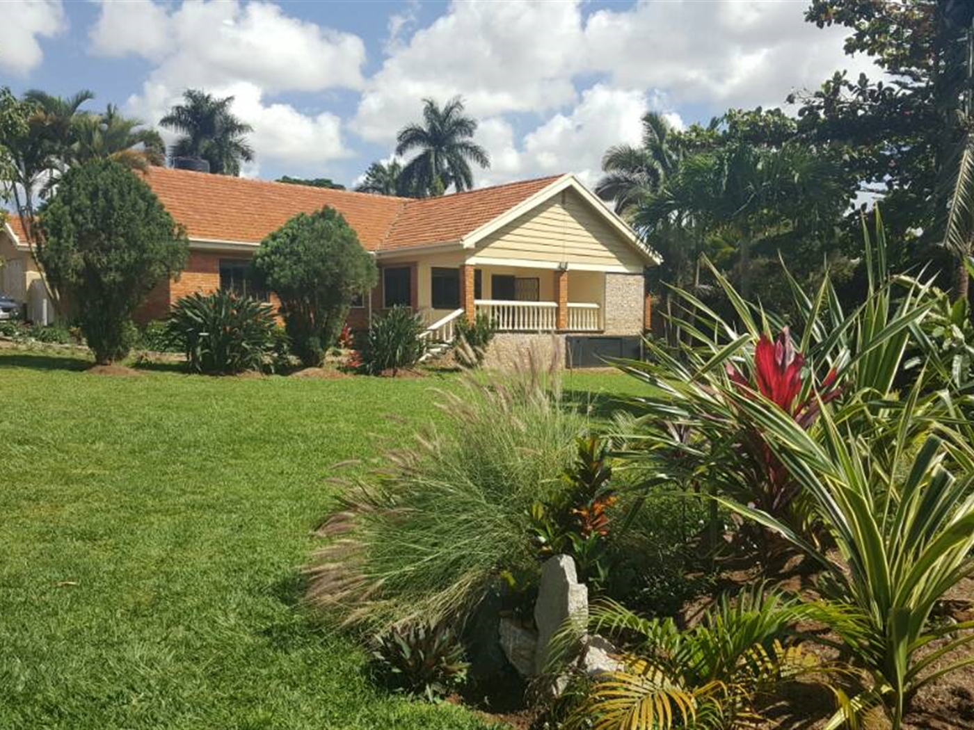 Bungalow for rent in Muyenga Kampala