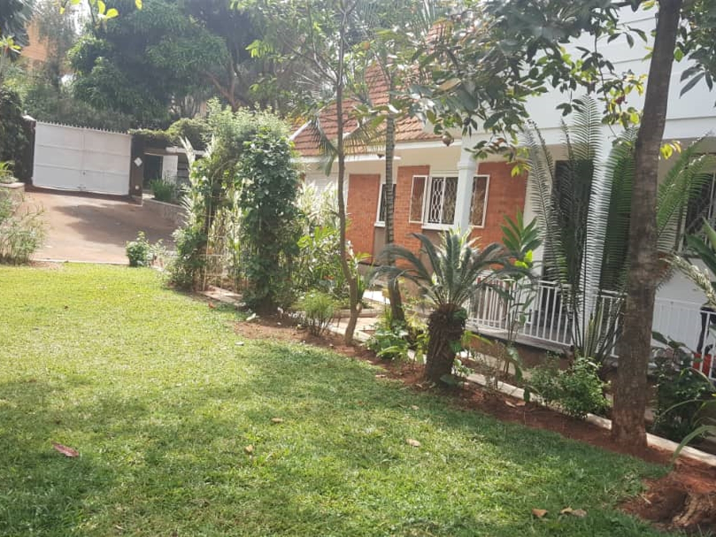 Bungalow for rent in Muyenga Kampala