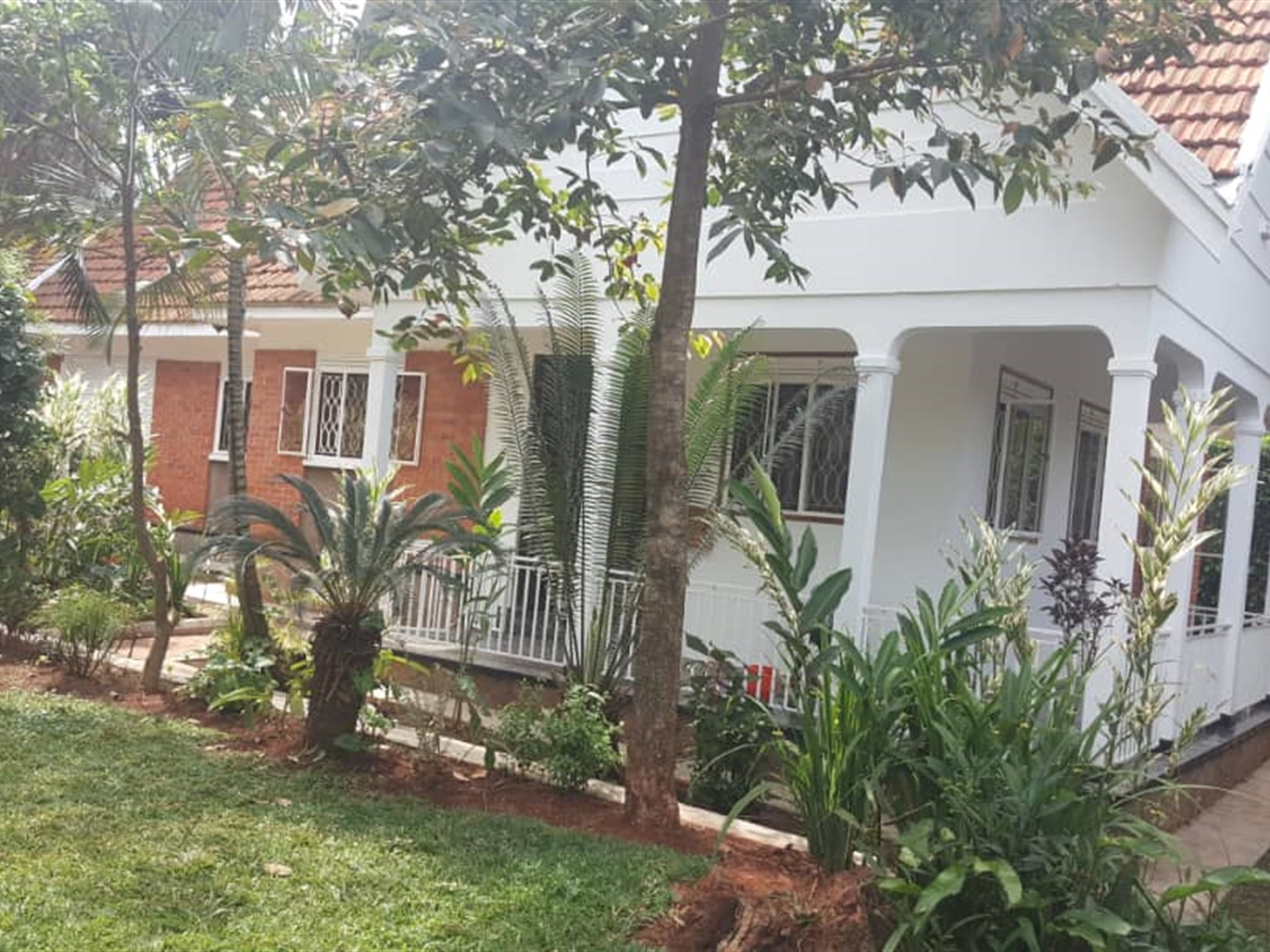 Bungalow for rent in Muyenga Kampala