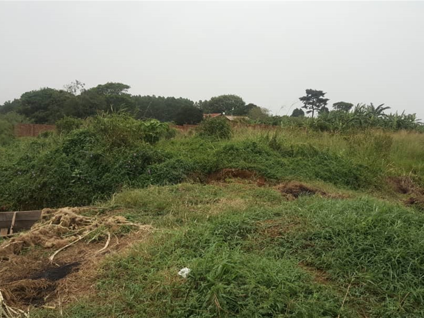 Recreational Land for sale in Kawuku Wakiso