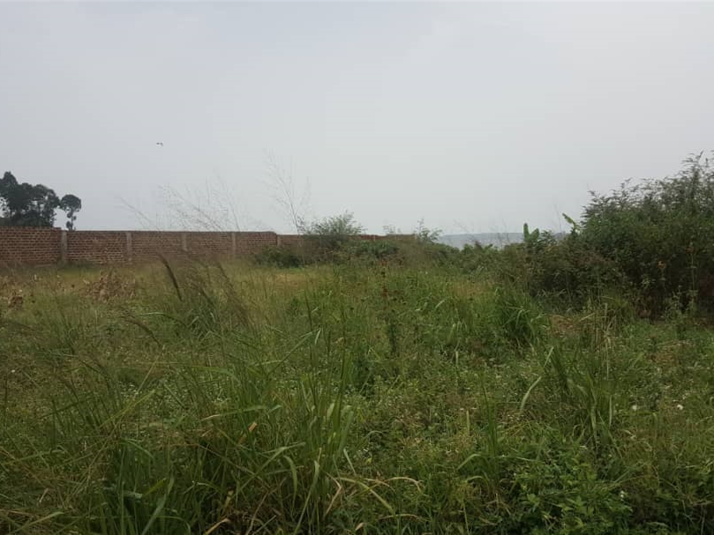 Recreational Land for sale in Kawuku Wakiso