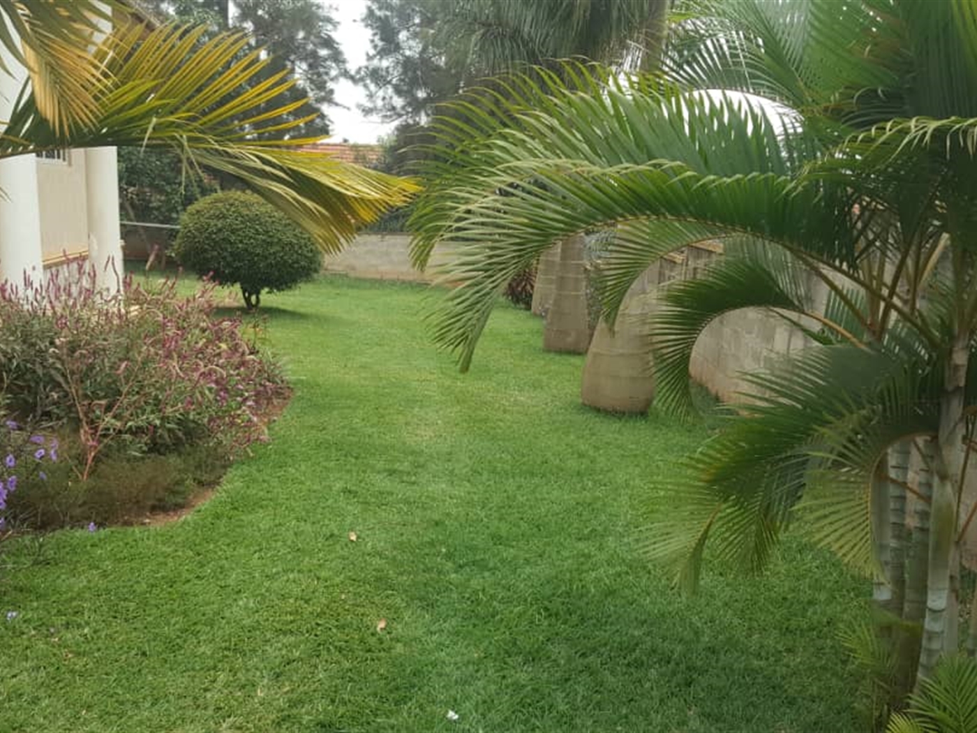 Bungalow for rent in Kansanga Kampala