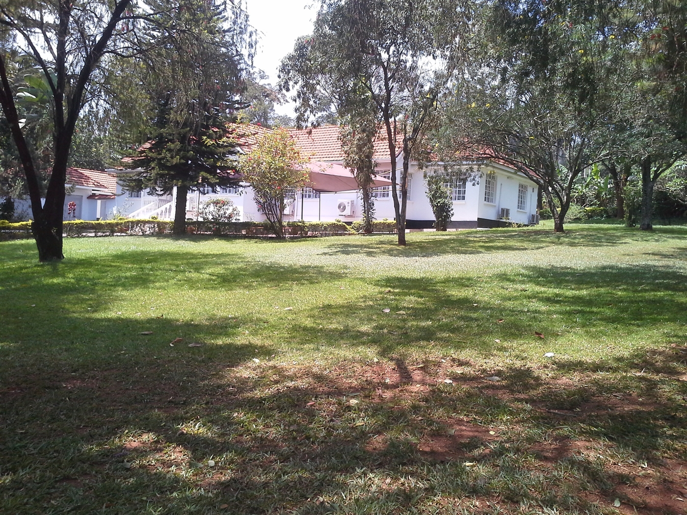 Bungalow for rent in Kololo Kampala