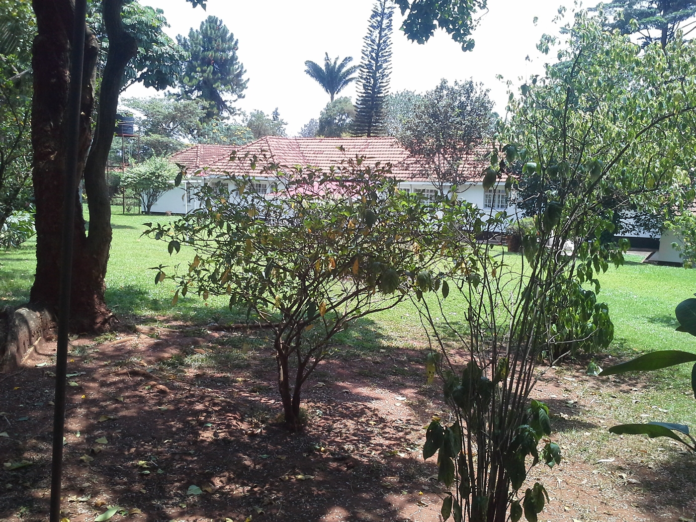 Bungalow for rent in Kololo Kampala