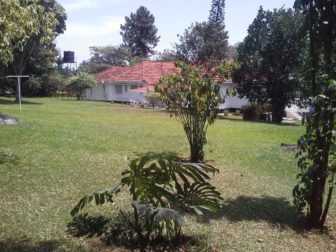 Bungalow for rent in Kololo Kampala