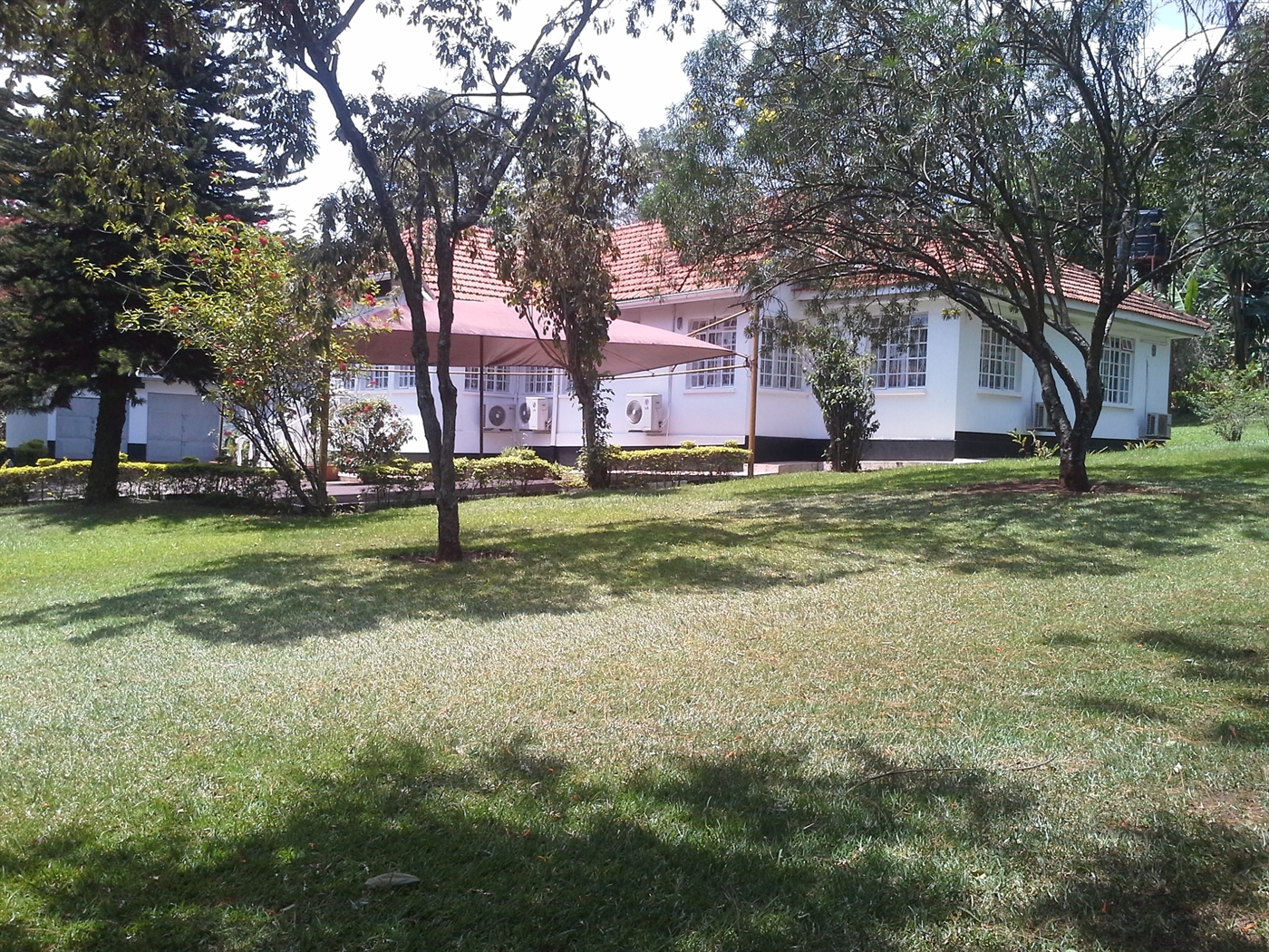 Bungalow for rent in Kololo Kampala