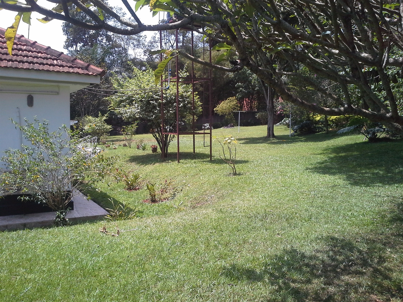 Bungalow for rent in Kololo Kampala