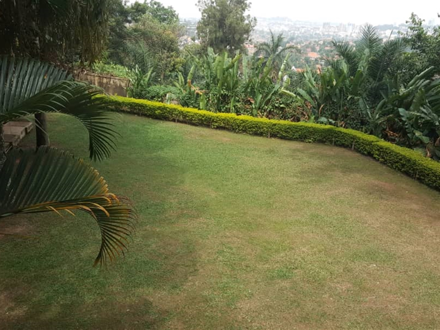 Bungalow for rent in Muyenga Kampala