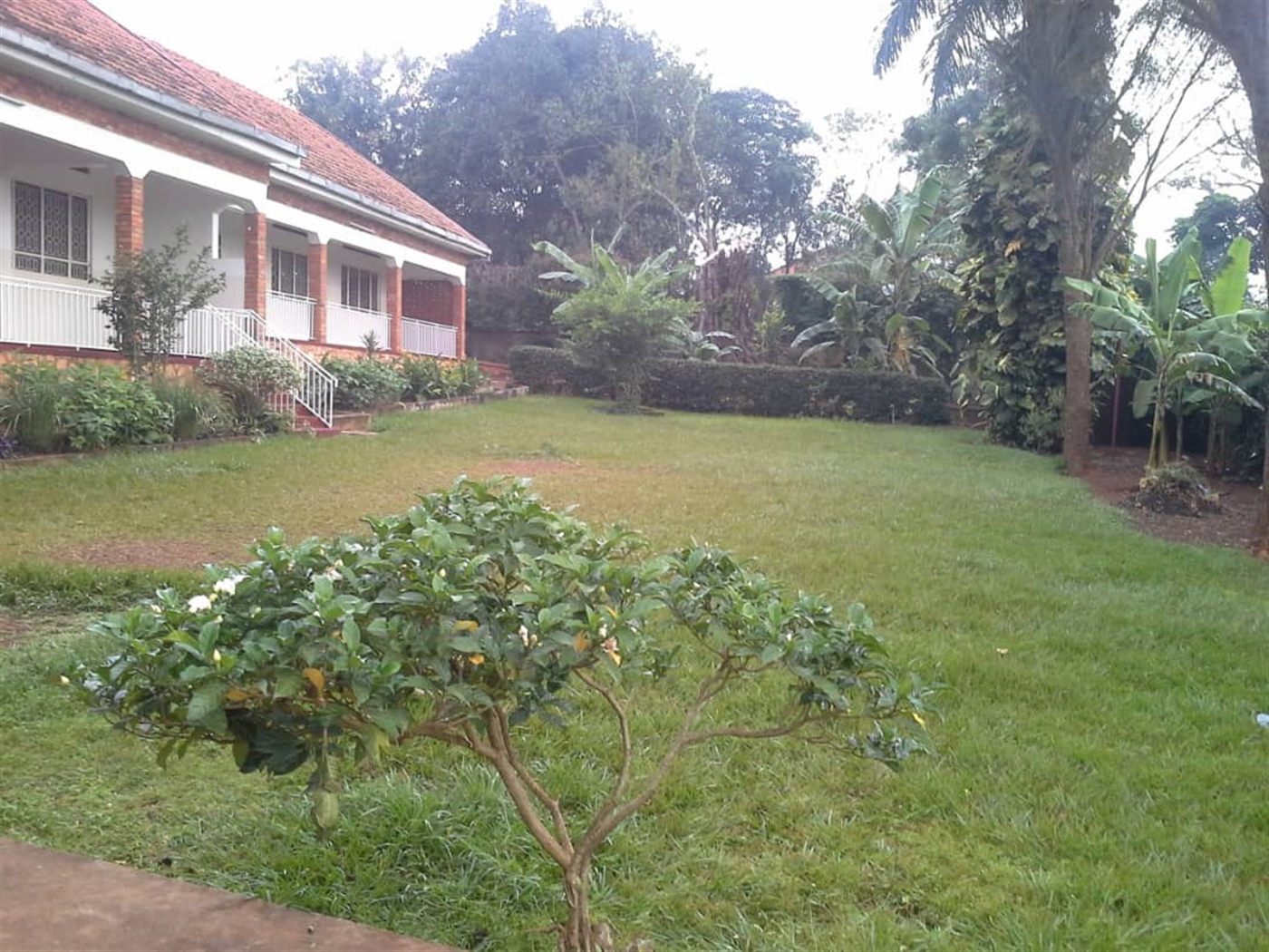 Bungalow for sale in Kawuku Kampala