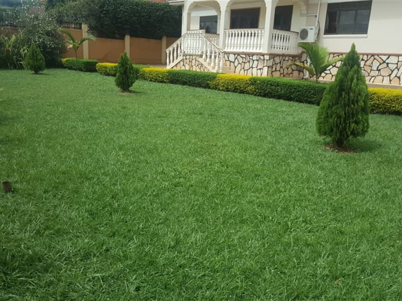 Bungalow for rent in Muyenga Kampala