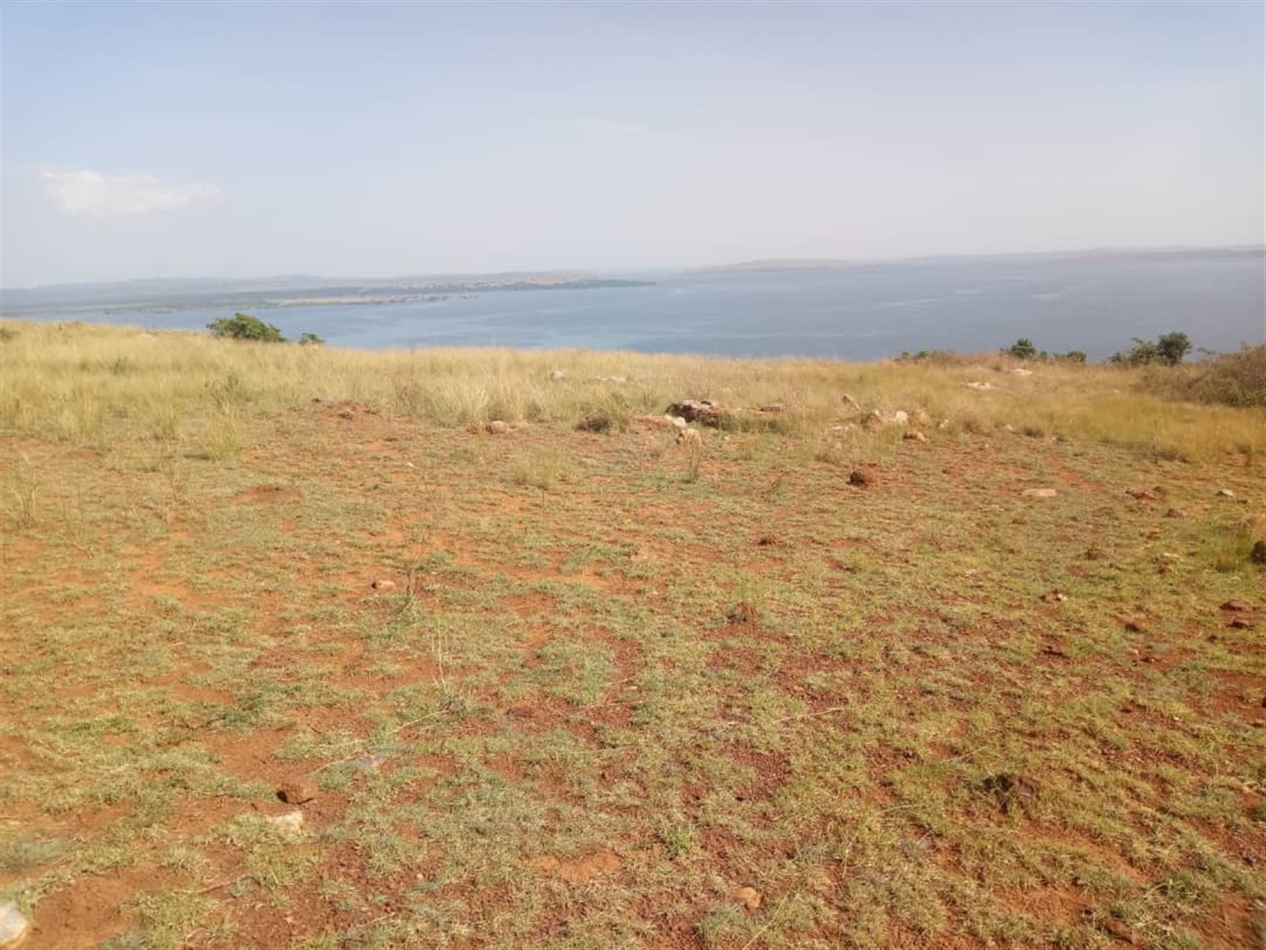 Multipurpose Land for sale in Bukaya Jinja