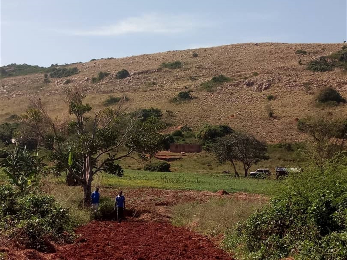 Multipurpose Land for sale in Bukaya Jinja