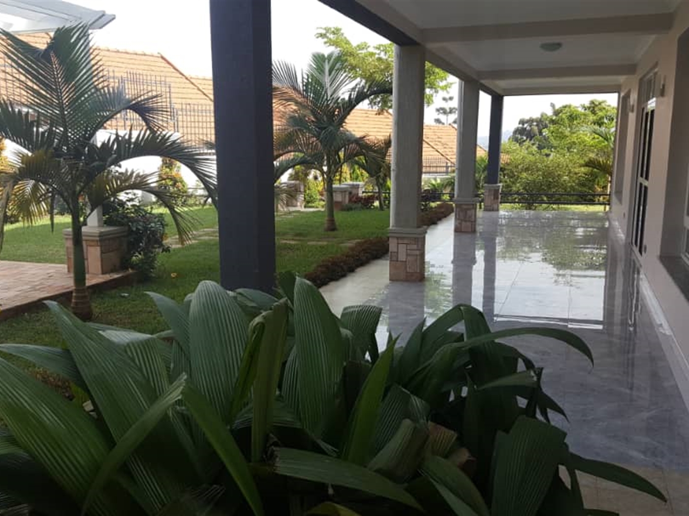 Mansion for sale in Muyenga Kampala