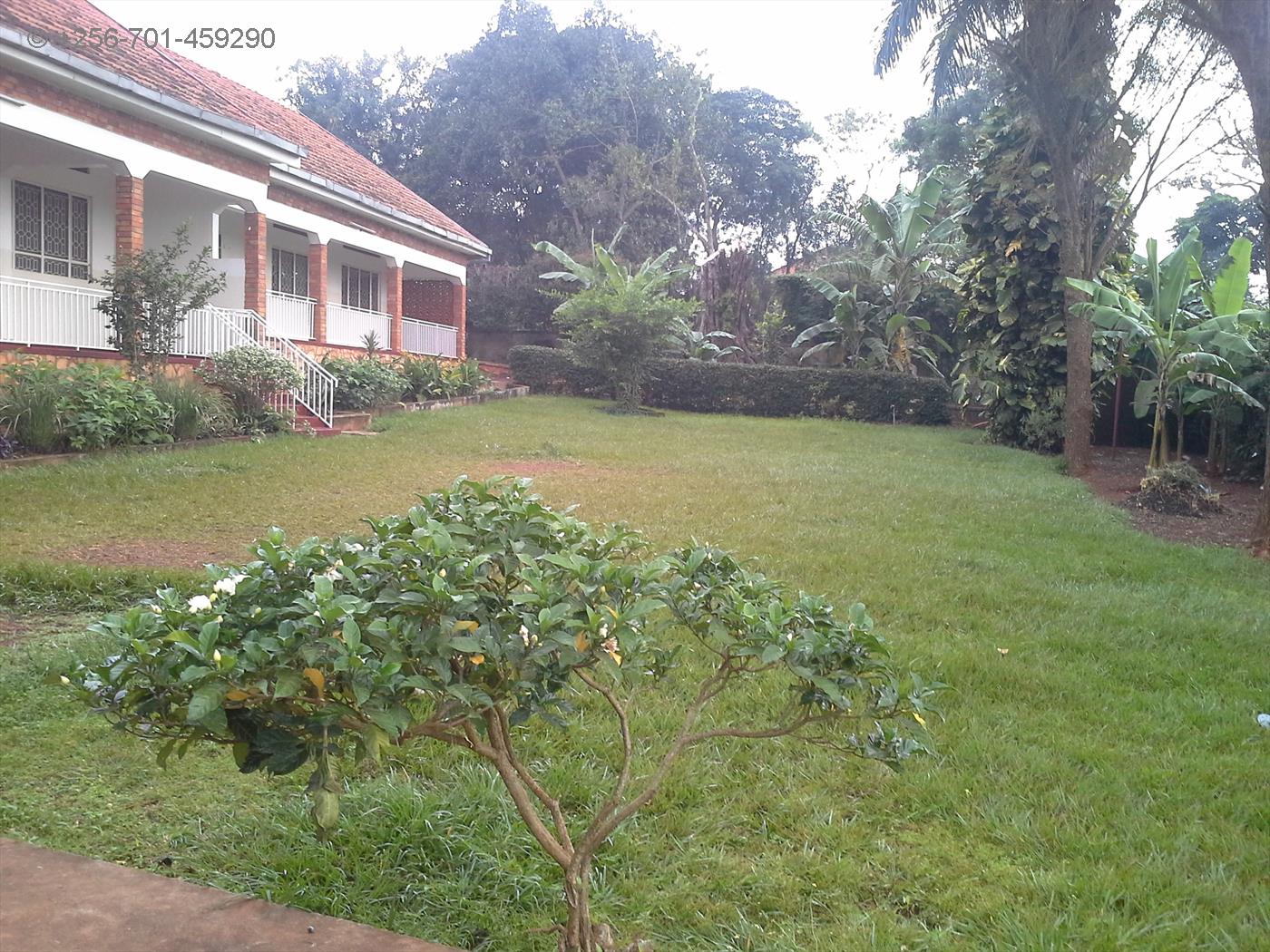 Bungalow for sale in Bbunga Kampala