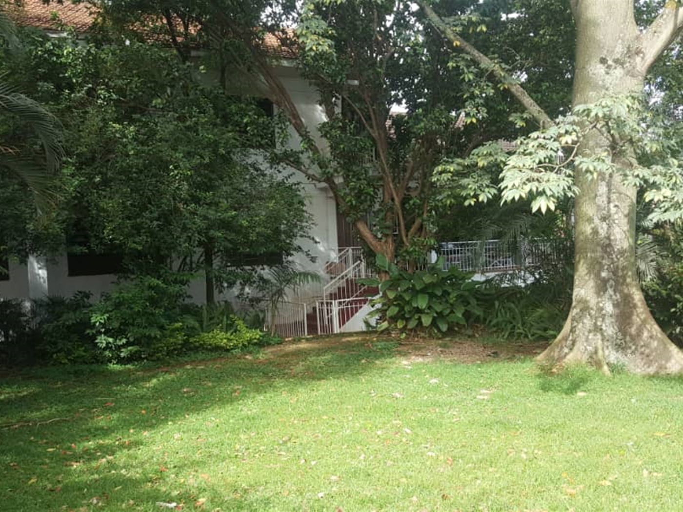 Mansion for rent in Muyenga Kampala