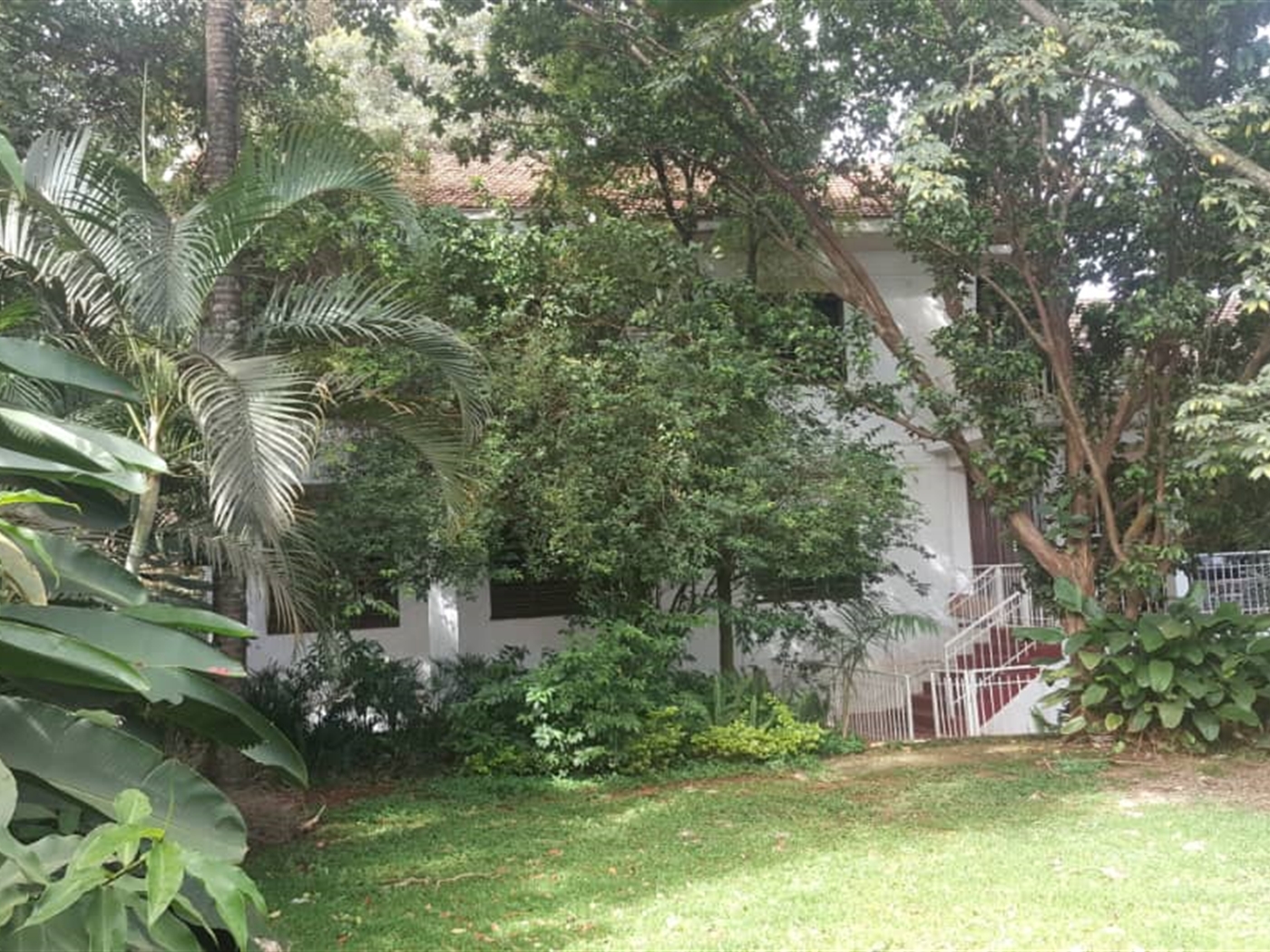 Mansion for rent in Muyenga Kampala