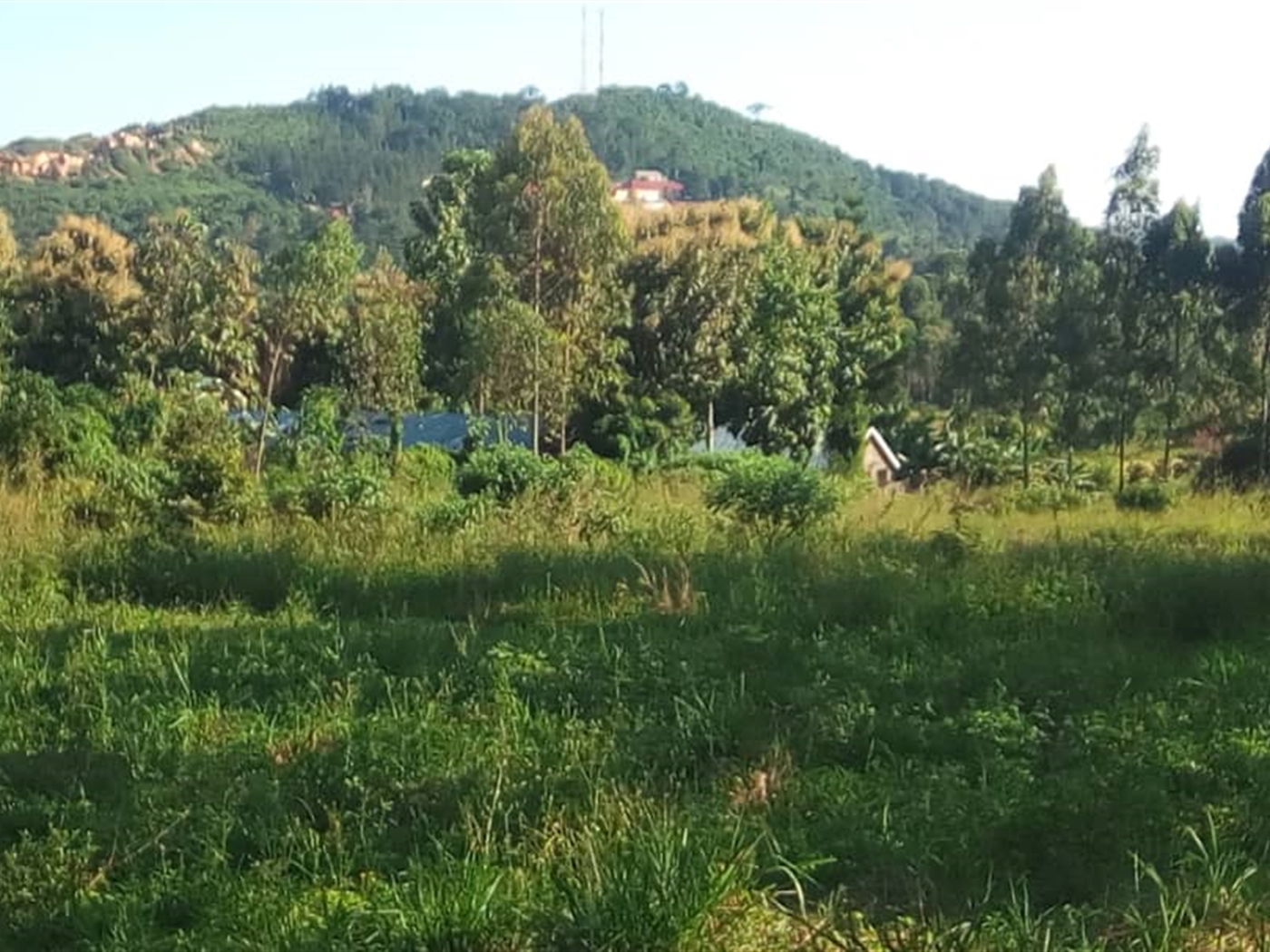 Agricultural Land for sale in Mbalala Mukono