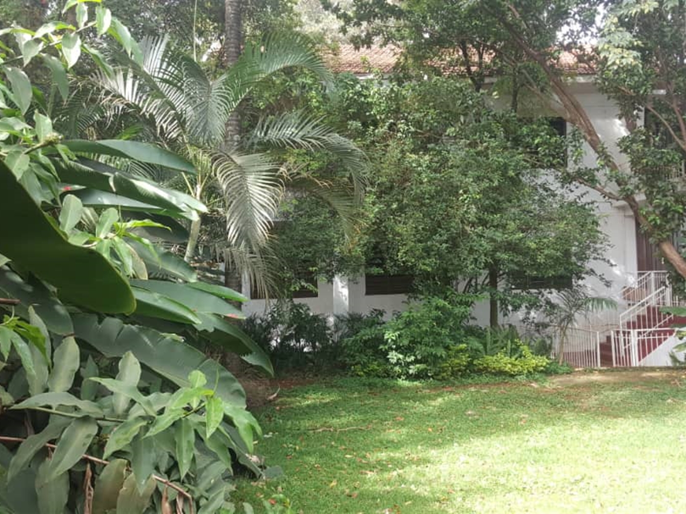 Mansion for rent in Muyenga Kampala