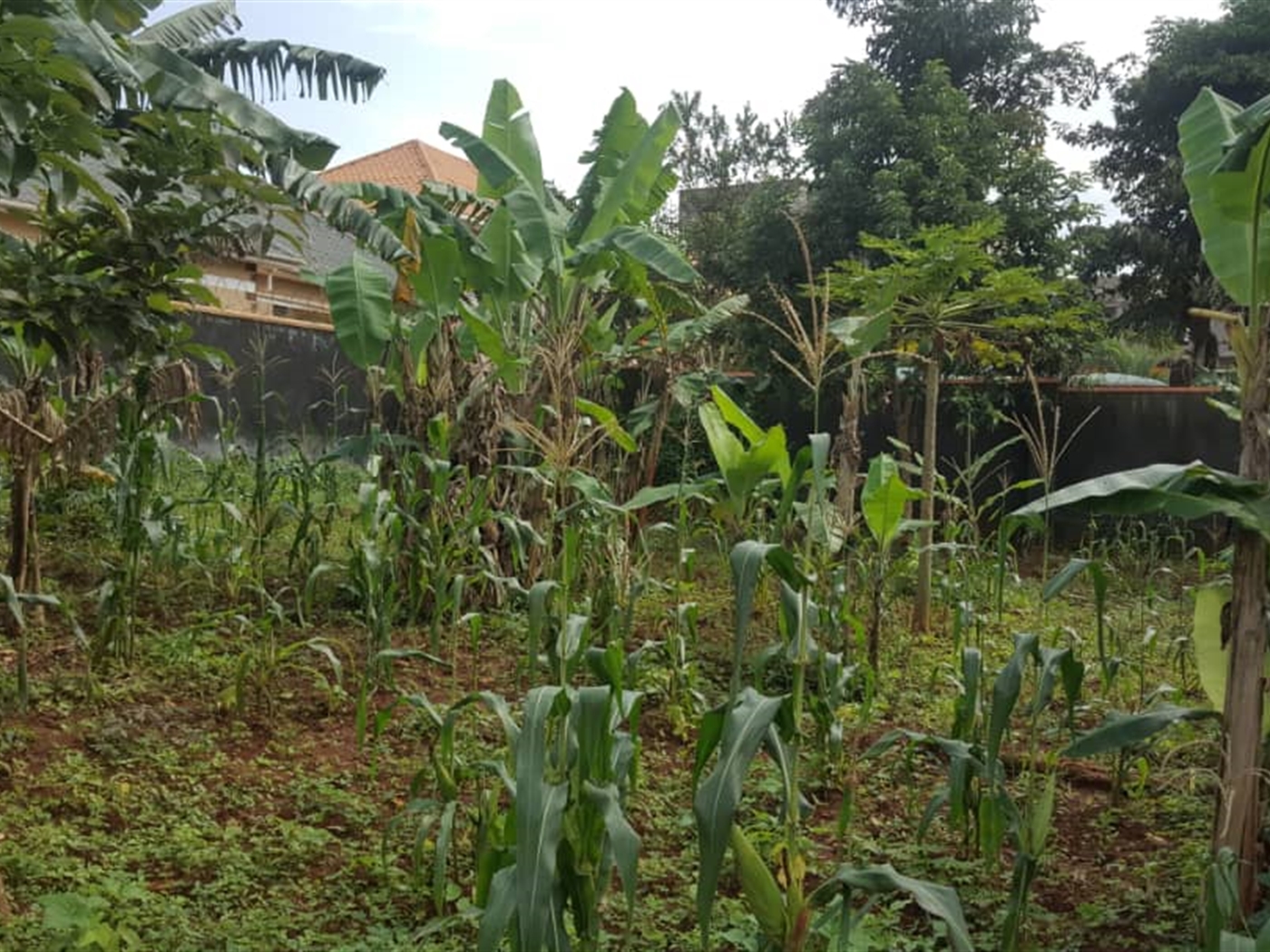 Residential Land for sale in Kigo Wakiso