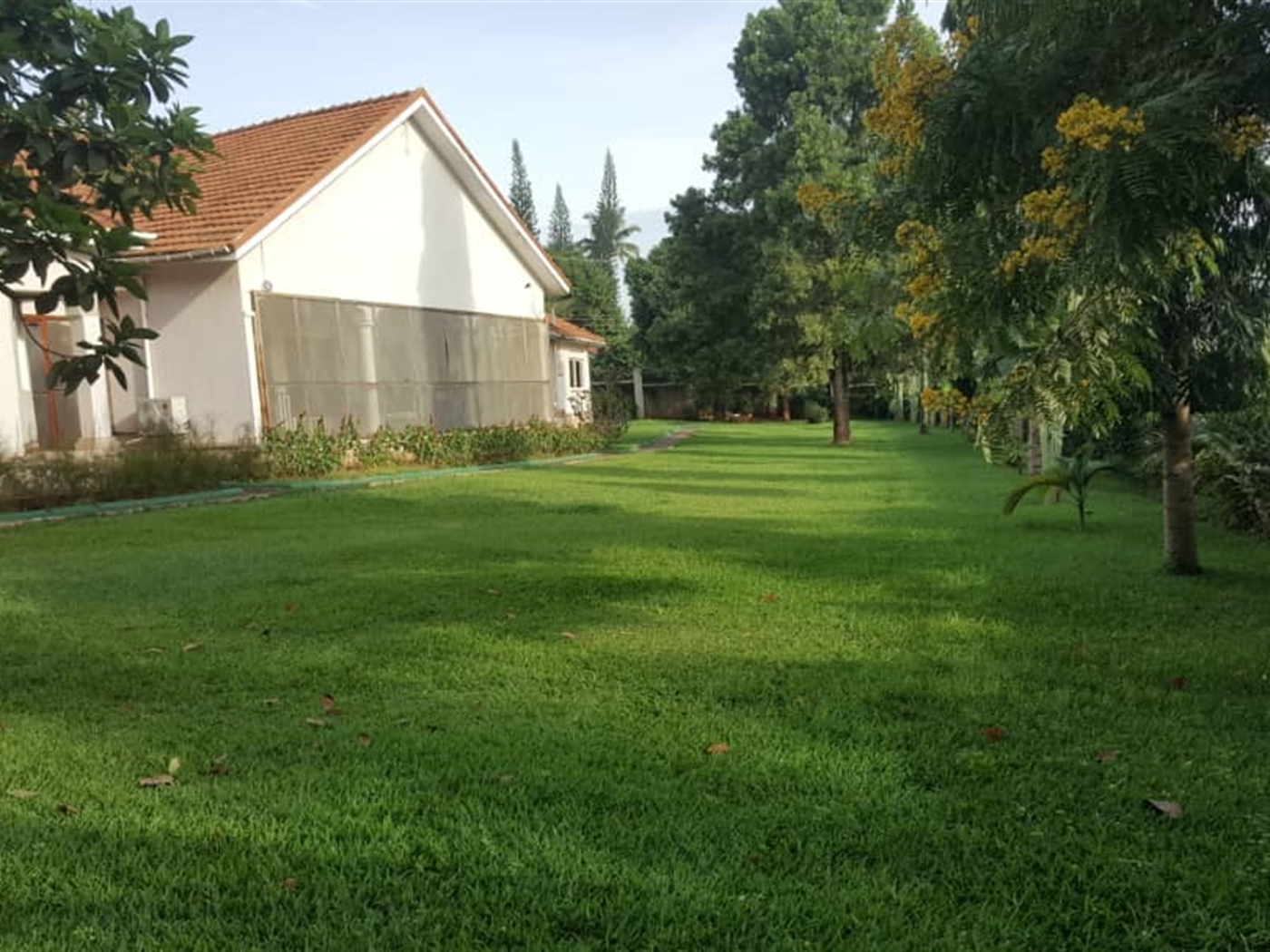 Bungalow for rent in Muyenga Kampala