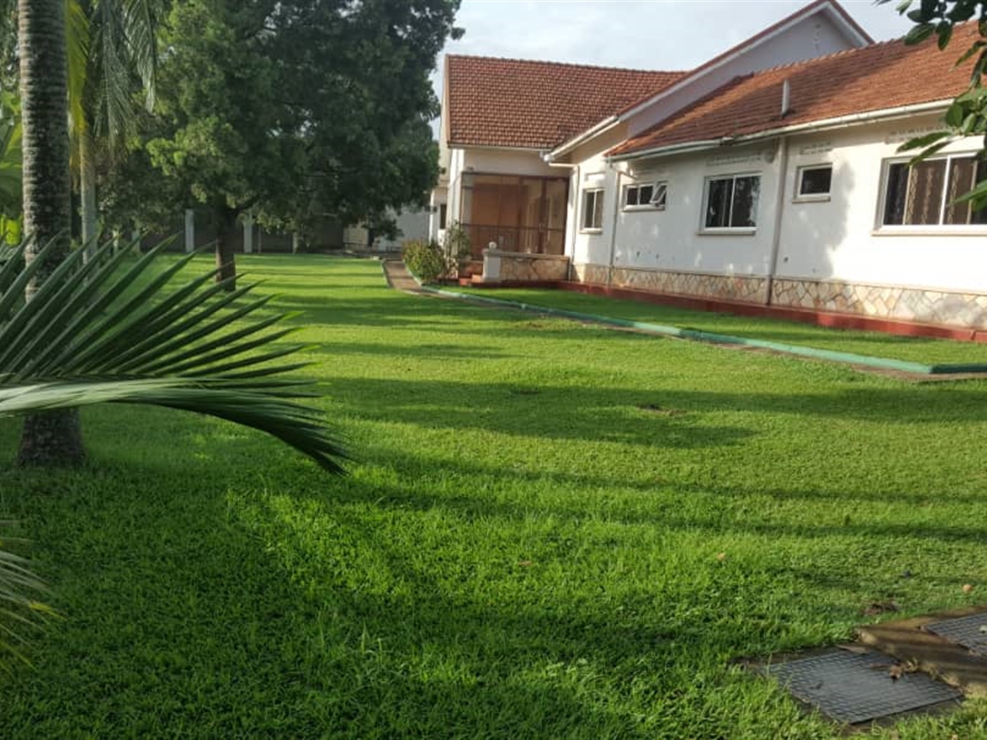 Bungalow for rent in Muyenga Kampala