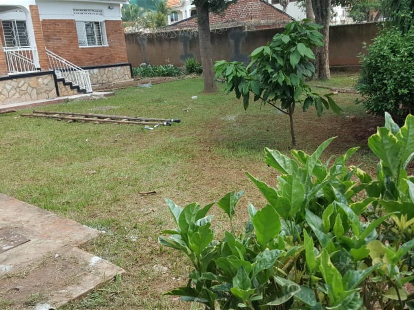 Bungalow for rent in Muyenga Kampala